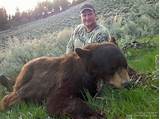 Montana Bear Hunting Outfitters