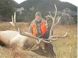 Elk Hunting Outfitters Wyoming