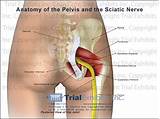 Side Effects Of Pinched Nerve In Lower Back Photos