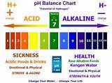 How To Check Your Ph Balance In Your Body