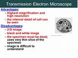 Highest Resolution Microscope Pictures