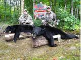 Bear Outfitters In Maine Images