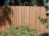 Grape Stake Fence Boards Pictures