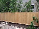Images of Cheap Privacy Fencing Options