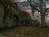 Pictures of Morrowind Cheap