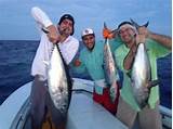 Pictures of Miami Charter Fishing
