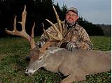 Illinois Deer Hunts Outfitters Photos
