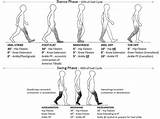 Gait Therapy