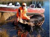 Ontario Fly In Moose Hunting Outfitters Photos