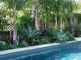 Landscape Plants Around A Swimming Pool
