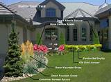 Pictures of Front Yard Design