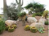 Xeriscape Landscape Design Ideas Photos