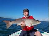 Fishing Charters Placida Florida Images