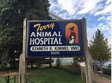 Animal Hospital Philadelphia Pa