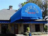Photos of Blue Dog Cafe Reservations