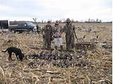 Waterfowl Hunting Outfitters Pictures