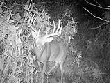 Deer Hunting Ohio Outfitters Photos