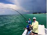 Pictures of Tampa Bay Tarpon Fishing