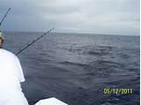 Oahu Sport Fishing Photos