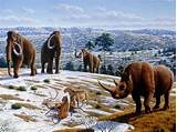 Images of Ice Age Animals Facts