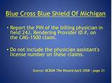 Michigan Physician License Images