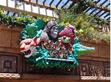 Reservations Rainforest Cafe Downtown Disney