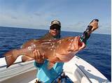 Deep Sea Fishing Charter Tampa