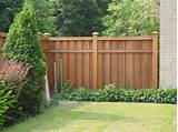 Pictures Of Backyard Fences Photos