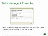 Uses Of Sql Database Photos