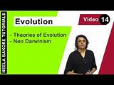 Neo Darwinism Theory Of Evolution