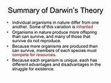 What Is Darwins Theory Of Evolution Summary Images