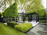 Modern Backyard Landscaping