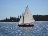 Small Boat Sailing