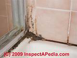 Photos of Mold Removal Grout