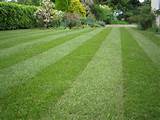 Perfect Turf Lawn And Landscaping Pictures