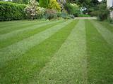 Lawn Care Killeen