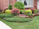Pictures of Trees For Front Yard Landscaping