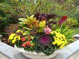 Planting Fall Flowers Containers Photos