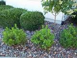 Pictures of River Rock Landscaping Photos