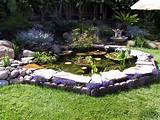 Pond Installation Companies Images