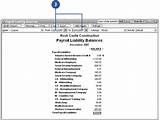 Payroll Liability Balances Report Pictures