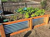 Images of Permaculture Yard Design