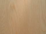 Images of Birch Wood Veneer