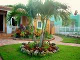 Nice Trees To Plant In Front Yard Images
