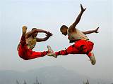 Pictures of Styles Of Chinese Kung Fu