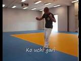Speed Training Judo Pictures