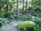 Pictures of Garden Design Ideas For Shady Areas