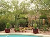 Images of Landscaping Rock In Phoenix
