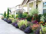 Front Yard Landscaping Ideas Zone 9 Photos