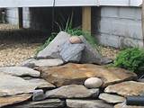 Rocks For Japanese Garden Images